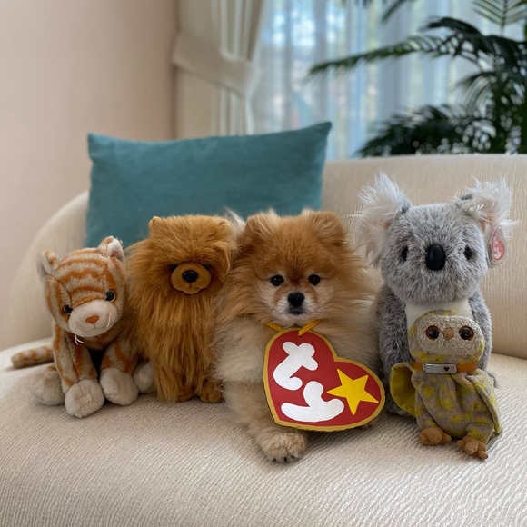 Meet your Posher, Keilani - Picture 8 of 13